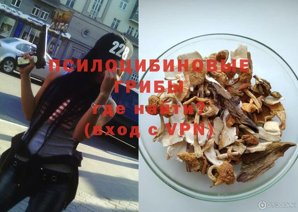 spice Беломорск