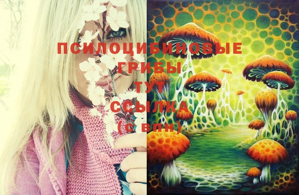 apvp Белоозёрский