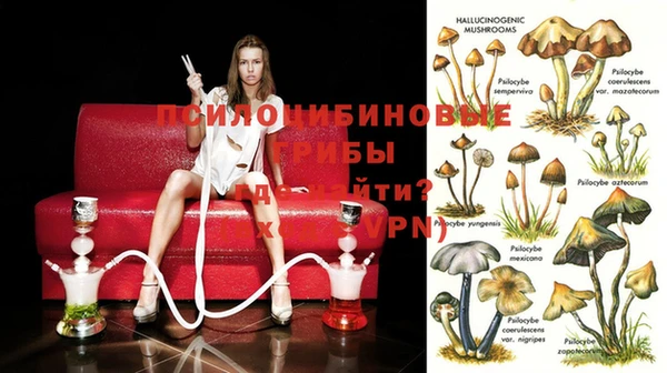 apvp Белоозёрский