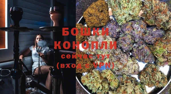 spice Беломорск