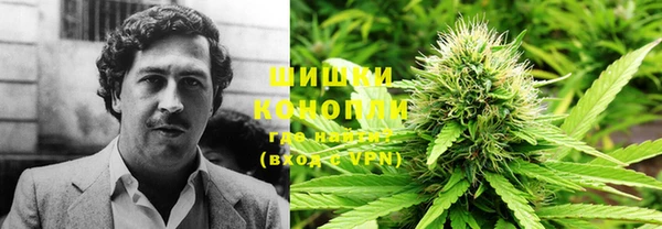 соль курить ск Белокуриха