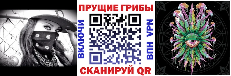 Псилоцибиновые грибы мицелий  магазин    Кодинск 